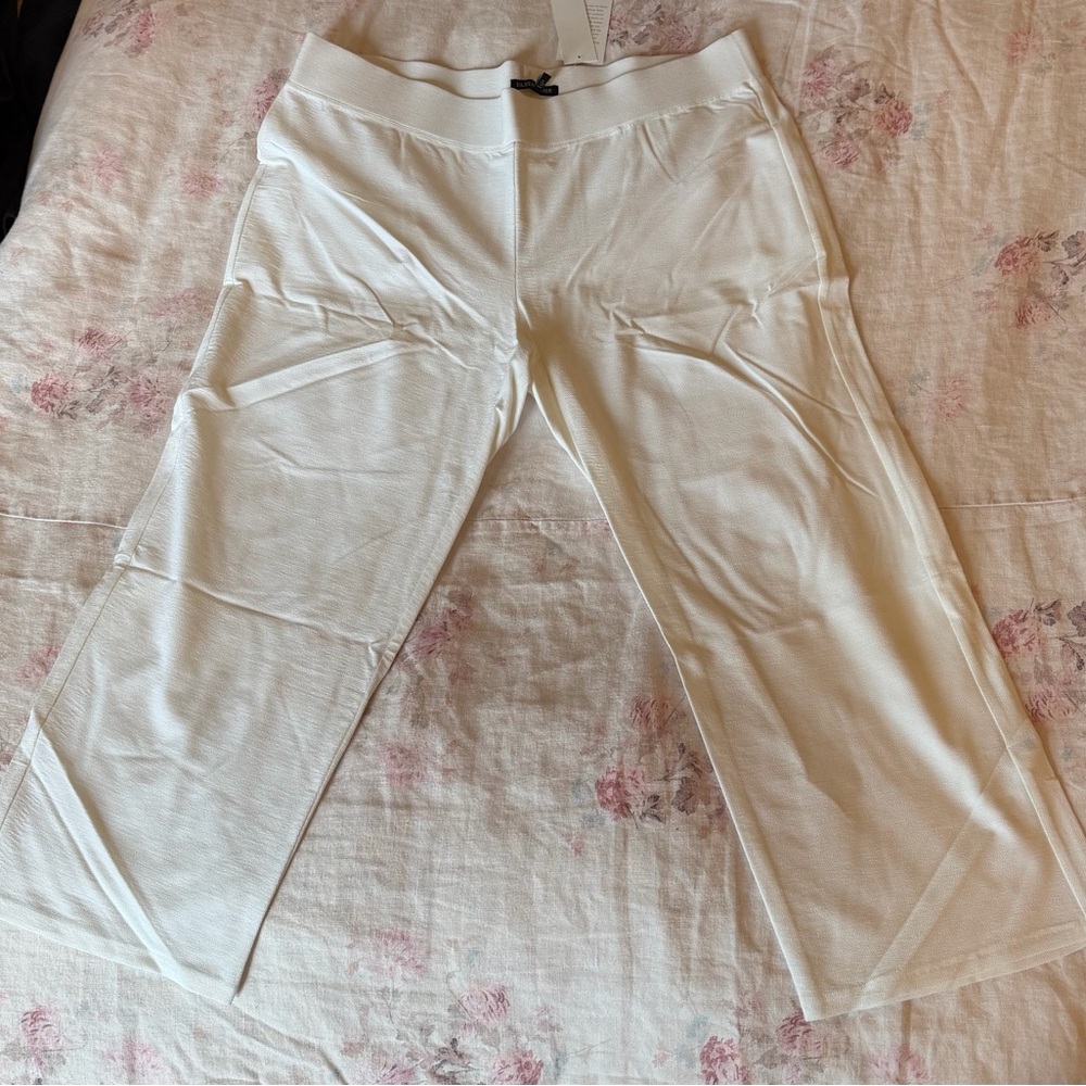 Eileen Fisher Slim Capri with Yoke - NWT - Large